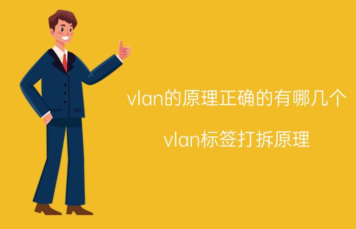 vlan的原理正确的有哪几个 vlan标签打拆原理？